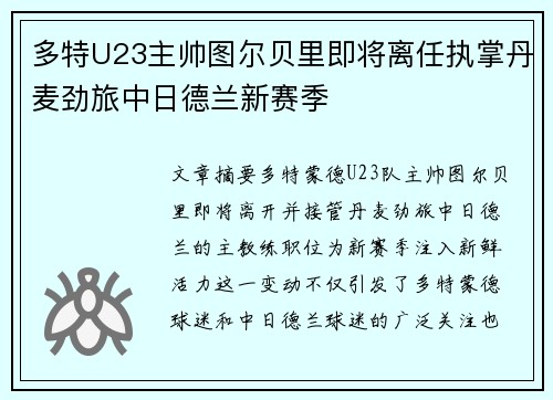 多特U23主帅图尔贝里即将离任执掌丹麦劲旅中日德兰新赛季