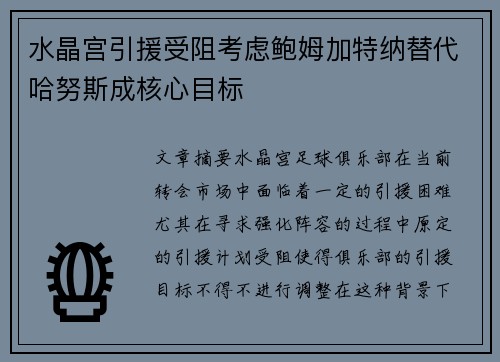 水晶宫引援受阻考虑鲍姆加特纳替代哈努斯成核心目标